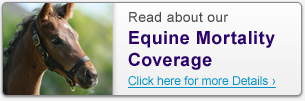 Read about our Equine Mortality Coverage